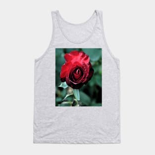 Red Rose Bloom Tank Top